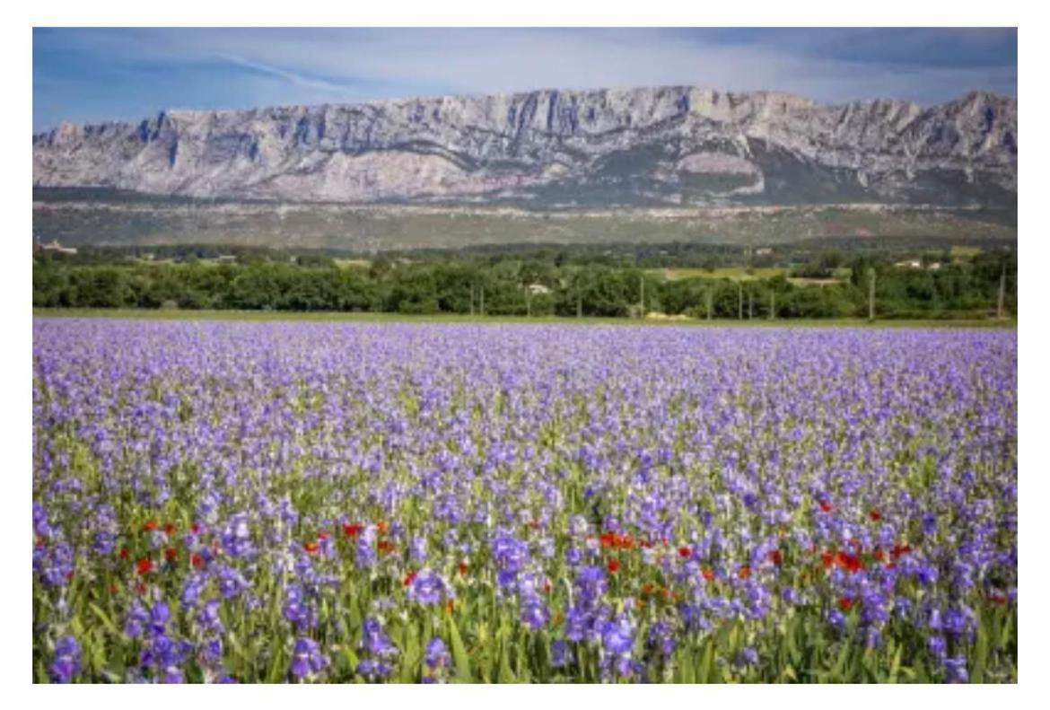 Aix-En-Provence, Cosy Studio Proche Toutes Commodites, Linges Fournis Esterno foto